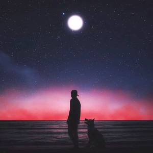 日韩精品手机在线
